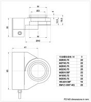 P214S-Model