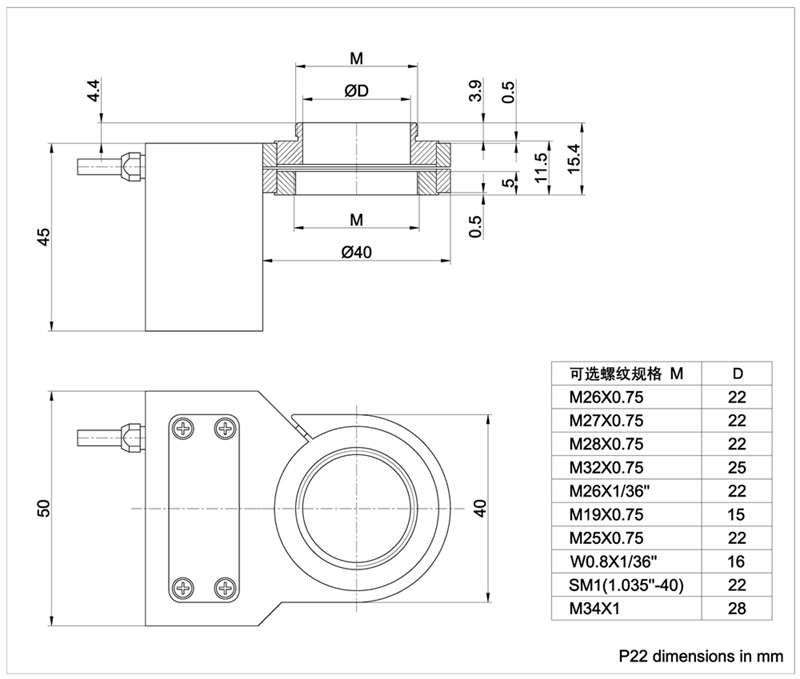 P22-Model