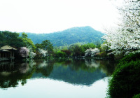 西湖3