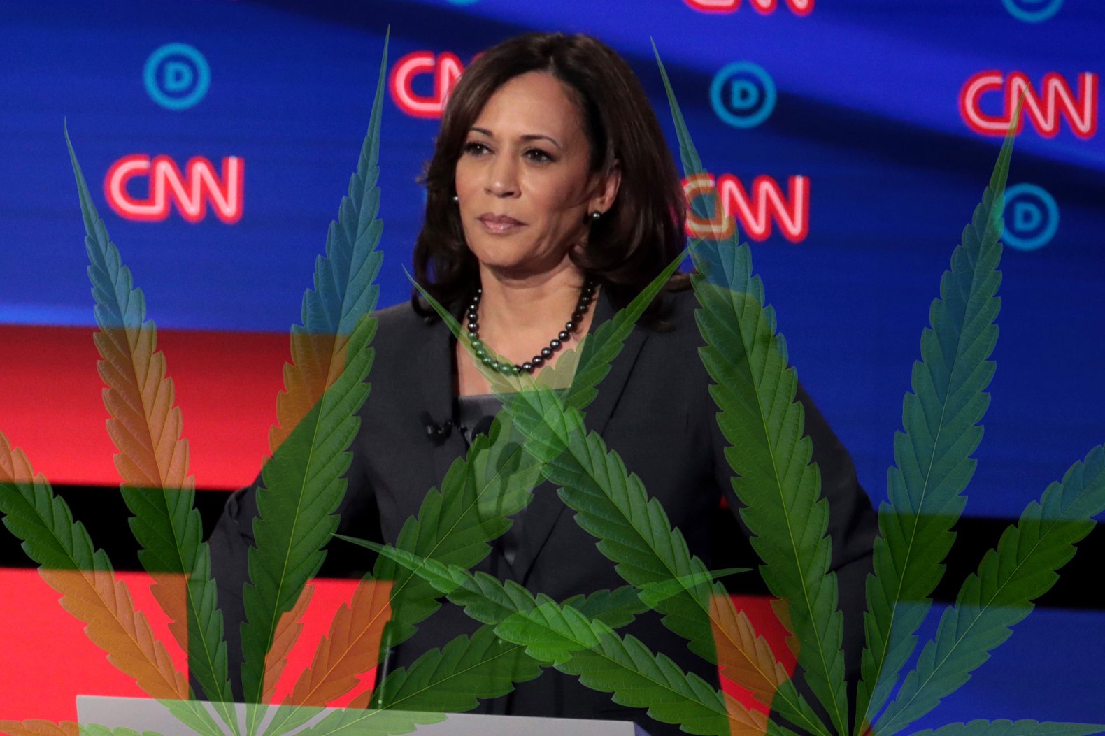 Kamala Harris Stance on Marijuana - Guide to Marijuana Policy