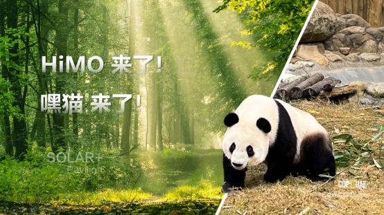 D:\yaobo6\WeChat Files\bobohanjiangxue\FileStorage\Temp\866328baf9957374ecd9832c8e7f234.png