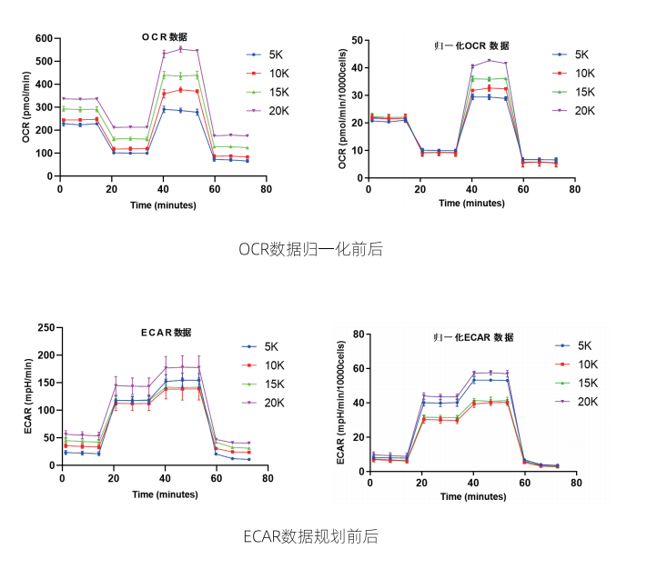 Falcon S300全自動(dòng)歸一化分析系統(tǒng)