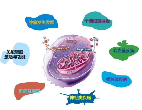 【安理汇】携手清华，共筑细胞能量代谢研究新高地——共享仪器平台技术讲座圆满收官！-企业官网