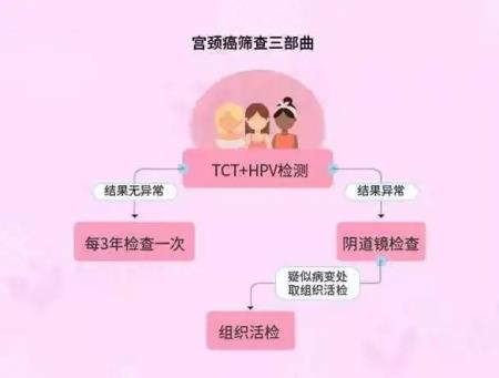 D:\任哥资料\宫颈癌6.webp.jpg