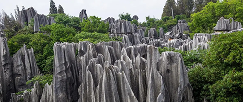 Stone Forest, Yunnan travel, China travel
