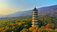 LingguTower