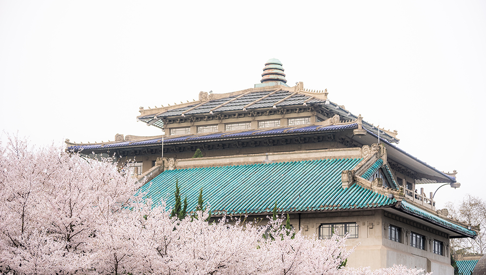 WuhanUniversity