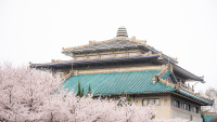 WuhanUniversity