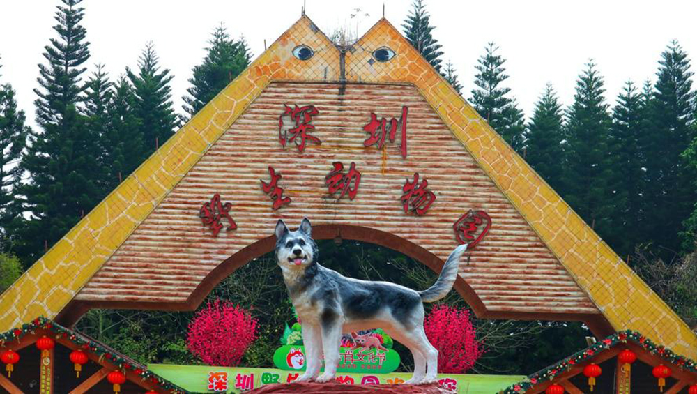 ShenzhenSafariPark