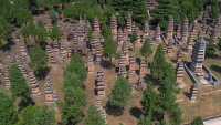 ShaolinTempleTowerForest