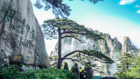 Guest-GreetingPine
