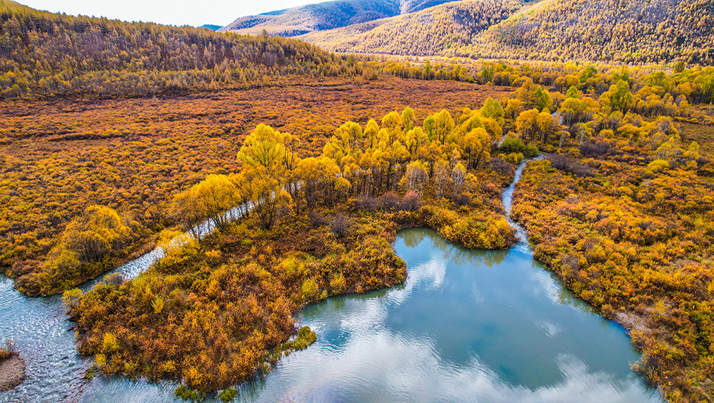 ArxanNationalForestPark
