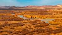 HulunbeierGrasslandAutumn