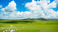 XilinGolGrasslandSummer