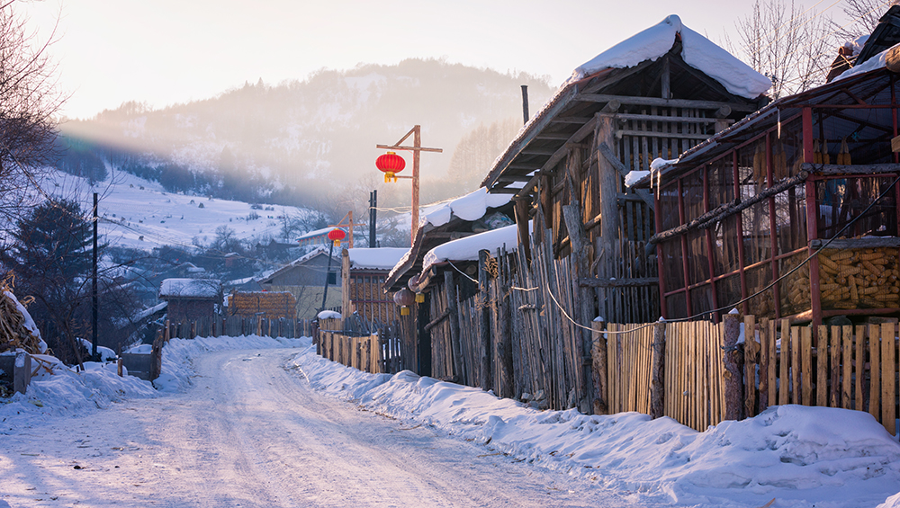 WinterTown