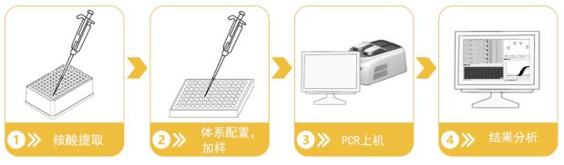 pcr操作简图副本