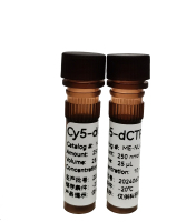 Cy5-dCTP