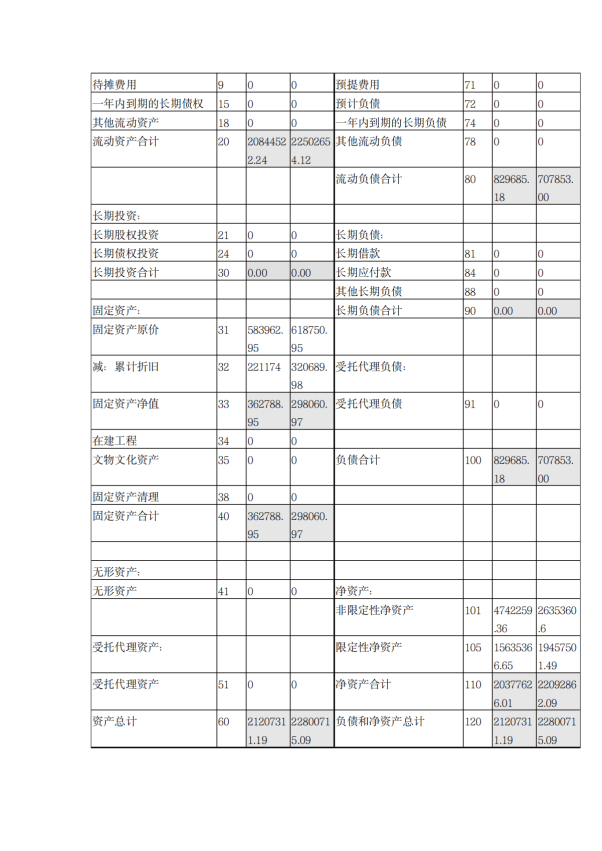 缘梦基金会2024年年检报告_58