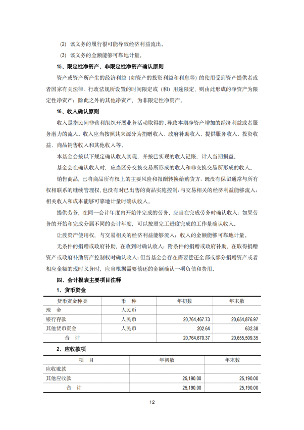 2024年审计报告 基金会年审报告  2025-03-12_11