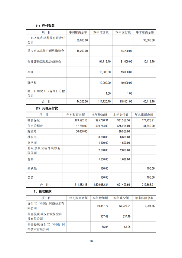 2024年审计报告 基金会年审报告  2025-03-12_15