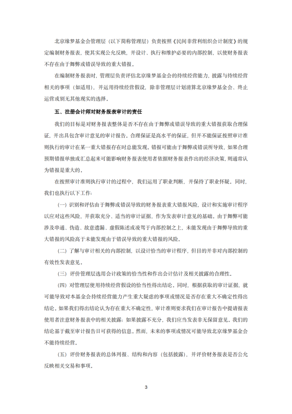 2024年审计报告 基金会年审报告  2025-03-12_02