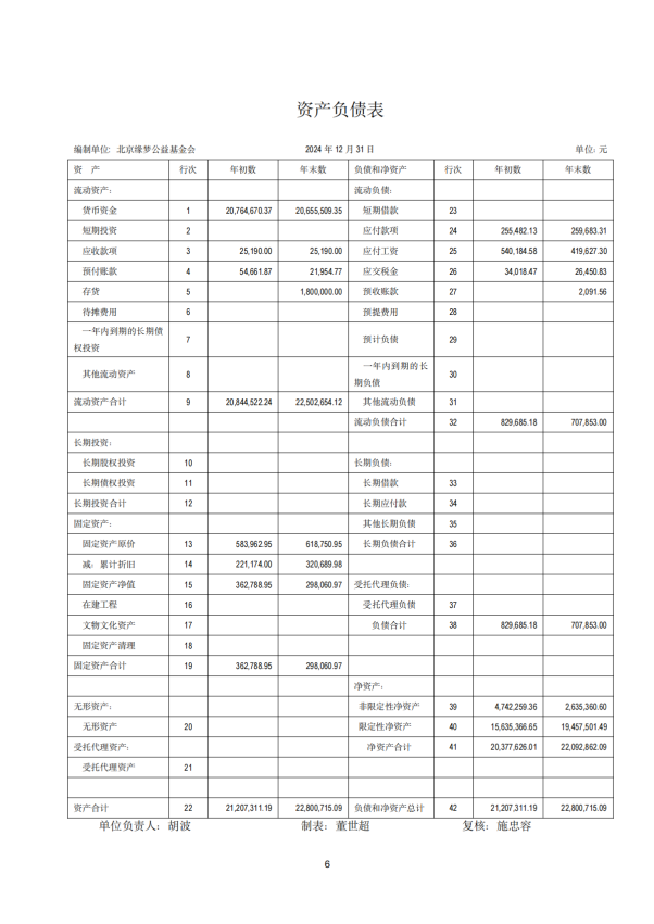 2024年审计报告 基金会年审报告  2025-03-12_05