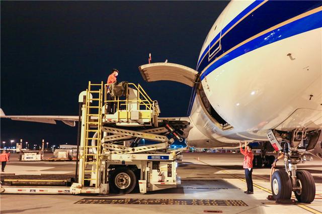 跨城航空急件当日达