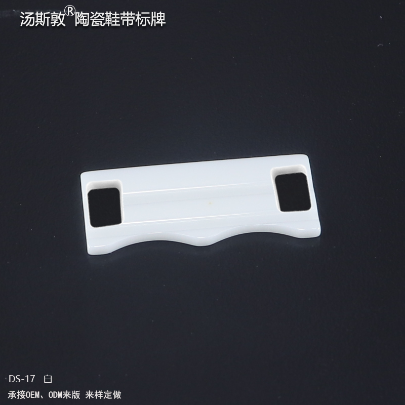 DS-17白全2