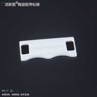 DS-17白全2