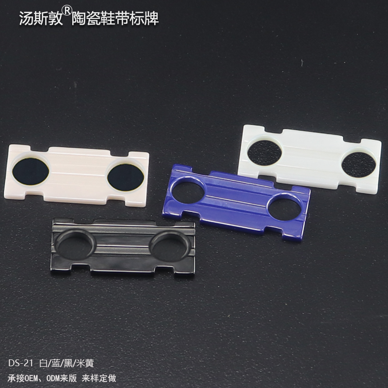 DS-21全1