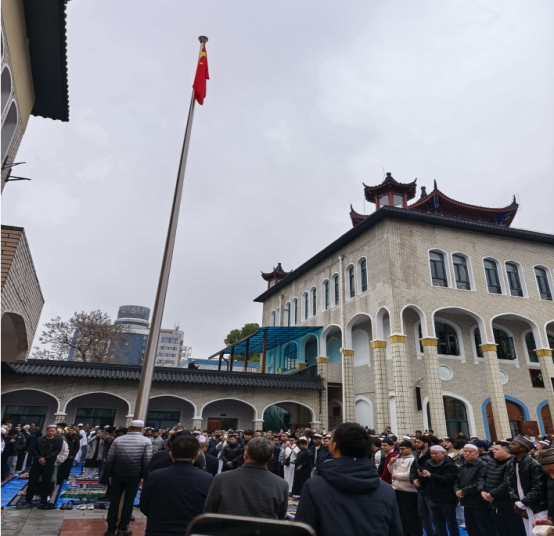 QQ截图20260323100518
