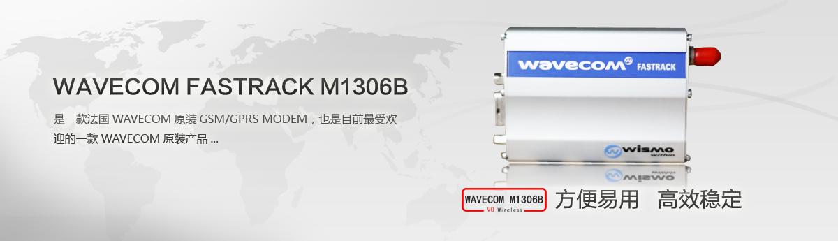 WAVECOM M1306B