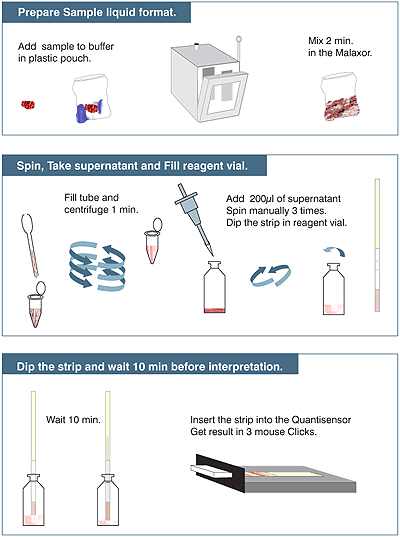 tetrasensor_animal_schema