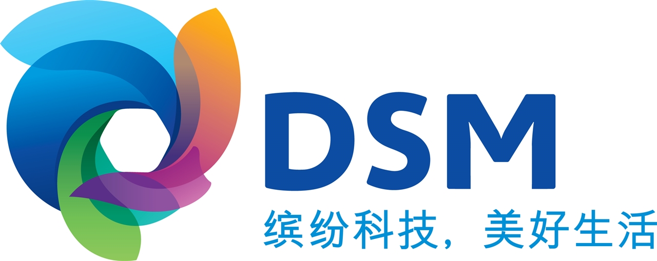 DSM_MasterLogo_Chinese