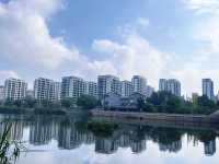 保福科技园集团-蚌埠凤凰书院