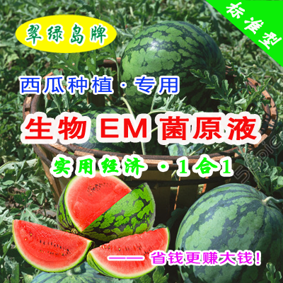西瓜种植专用-生物EM菌原液