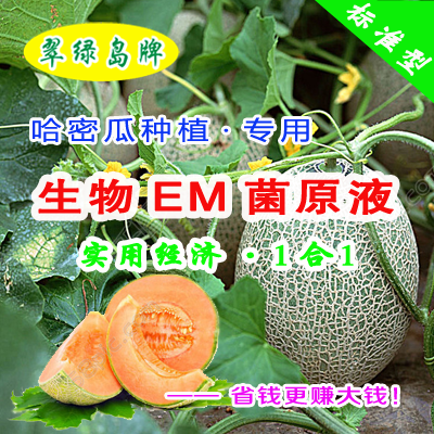 哈密瓜种植专用-生物EM菌原液