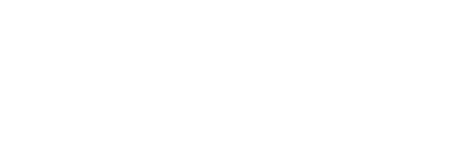 BST盘式制动器-巴斯塔