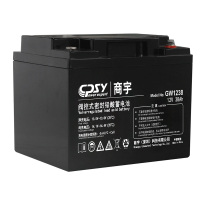 GW12蓄电池-3