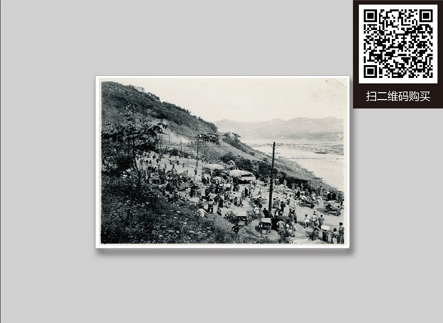 官网-4