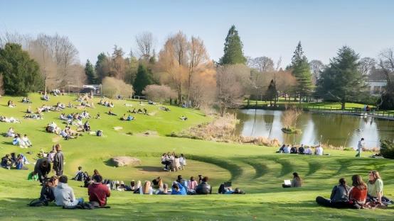 52153161721_23f407b003_o