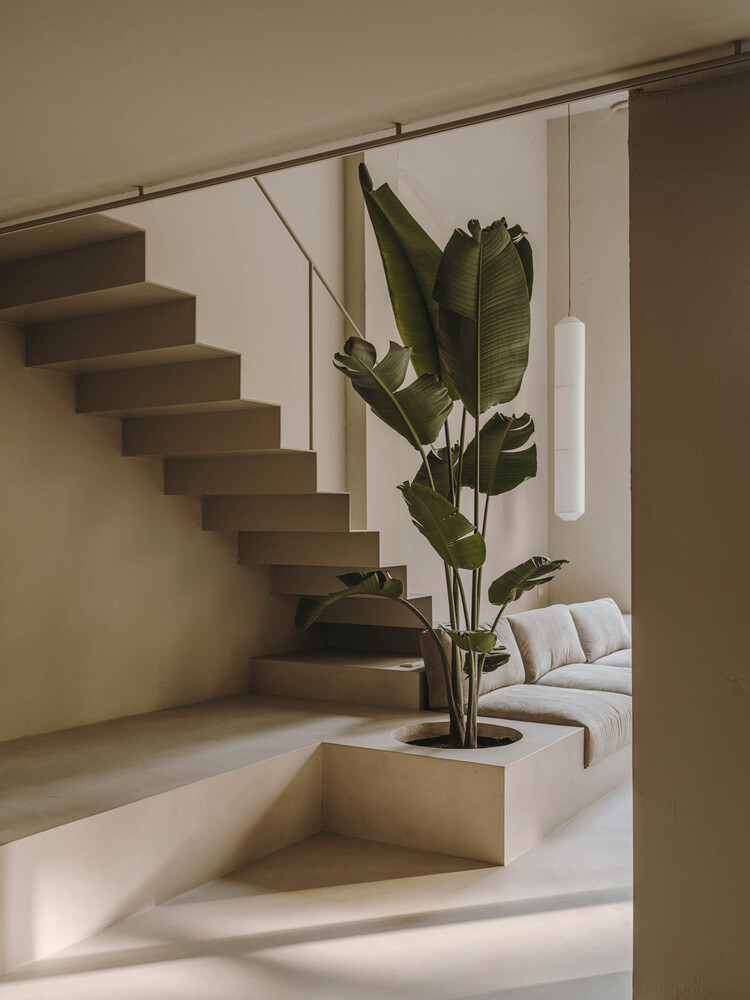 室内的微水泥与植物的装饰应用，再加上一些光的效果