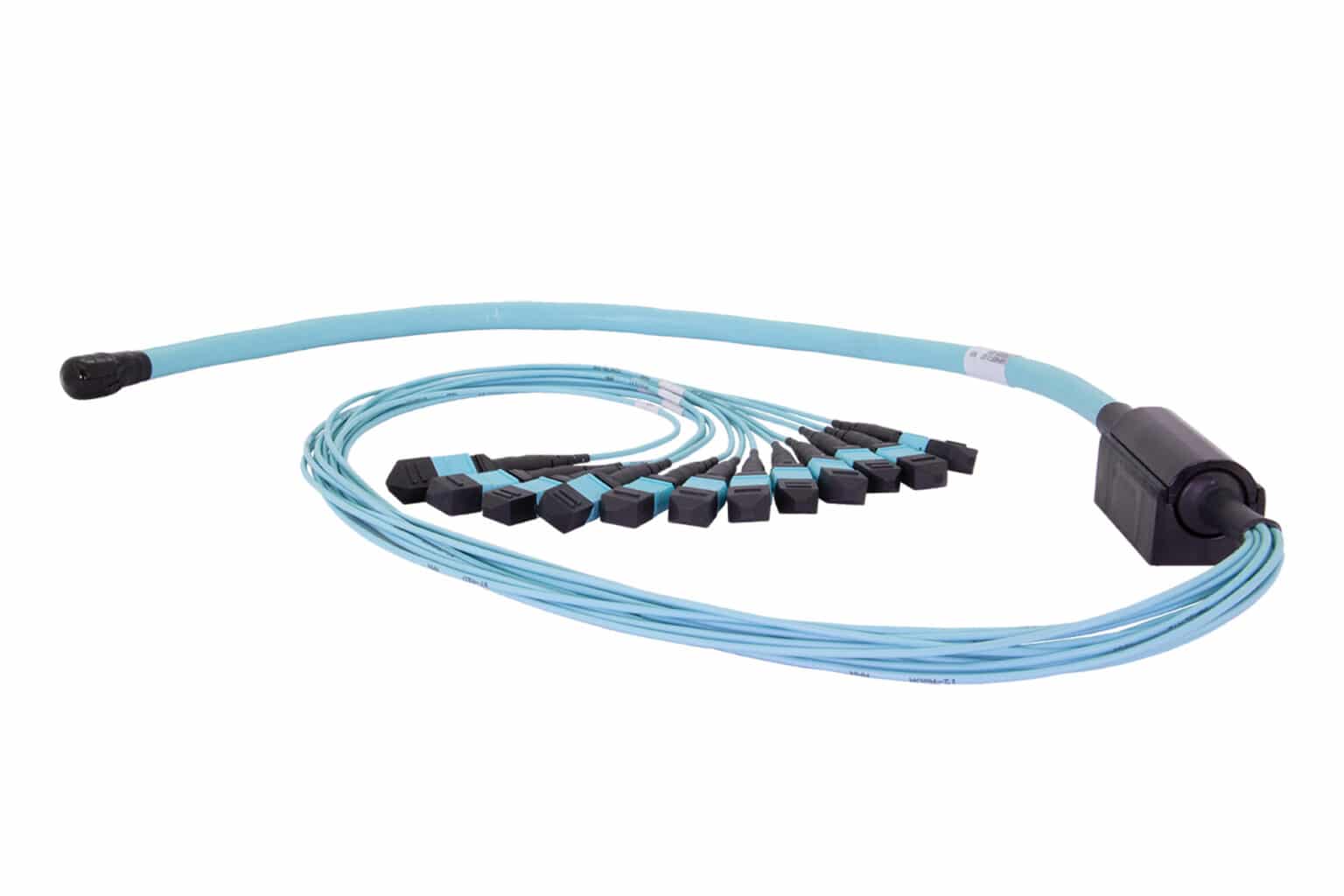 ASCEND™-Trunk-Cable-Assemblies-1536x1024