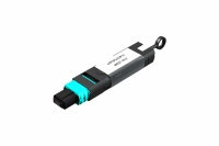 MPOMTP-Loop-Back-1536x1024