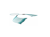 Preterm-and-MPO-B2CA-CPR-Multifibre-Cable-Assembly-1536x1024
