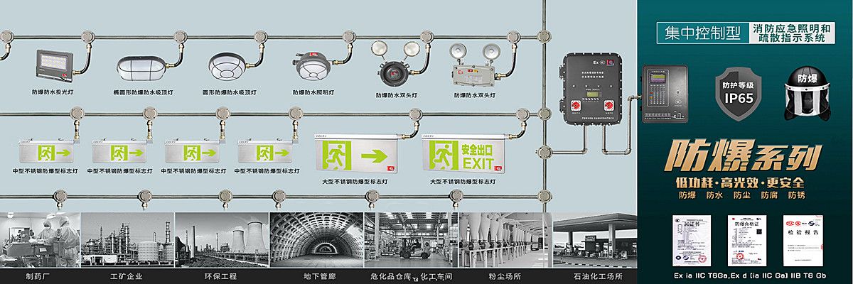 劳士集中控制型防爆应急照明消防疏散指示系统