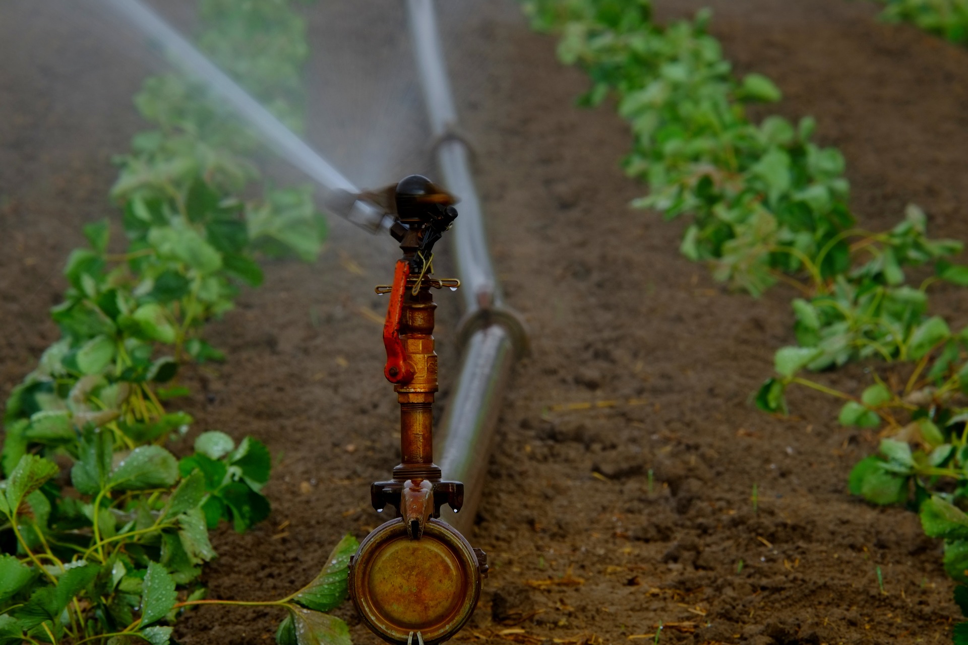 GPRS节水灌溉自动化系统