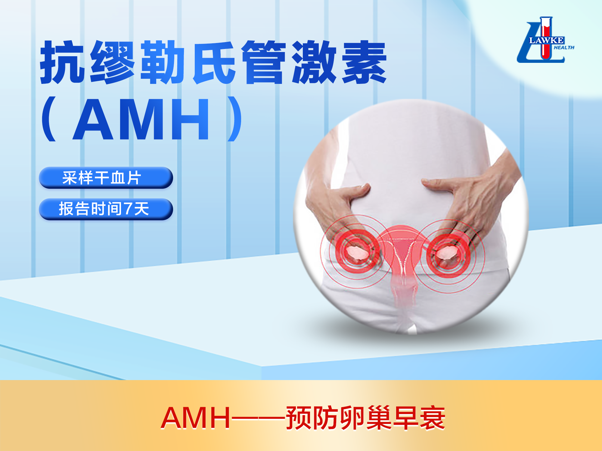 抗缪勒氏管激素-amh