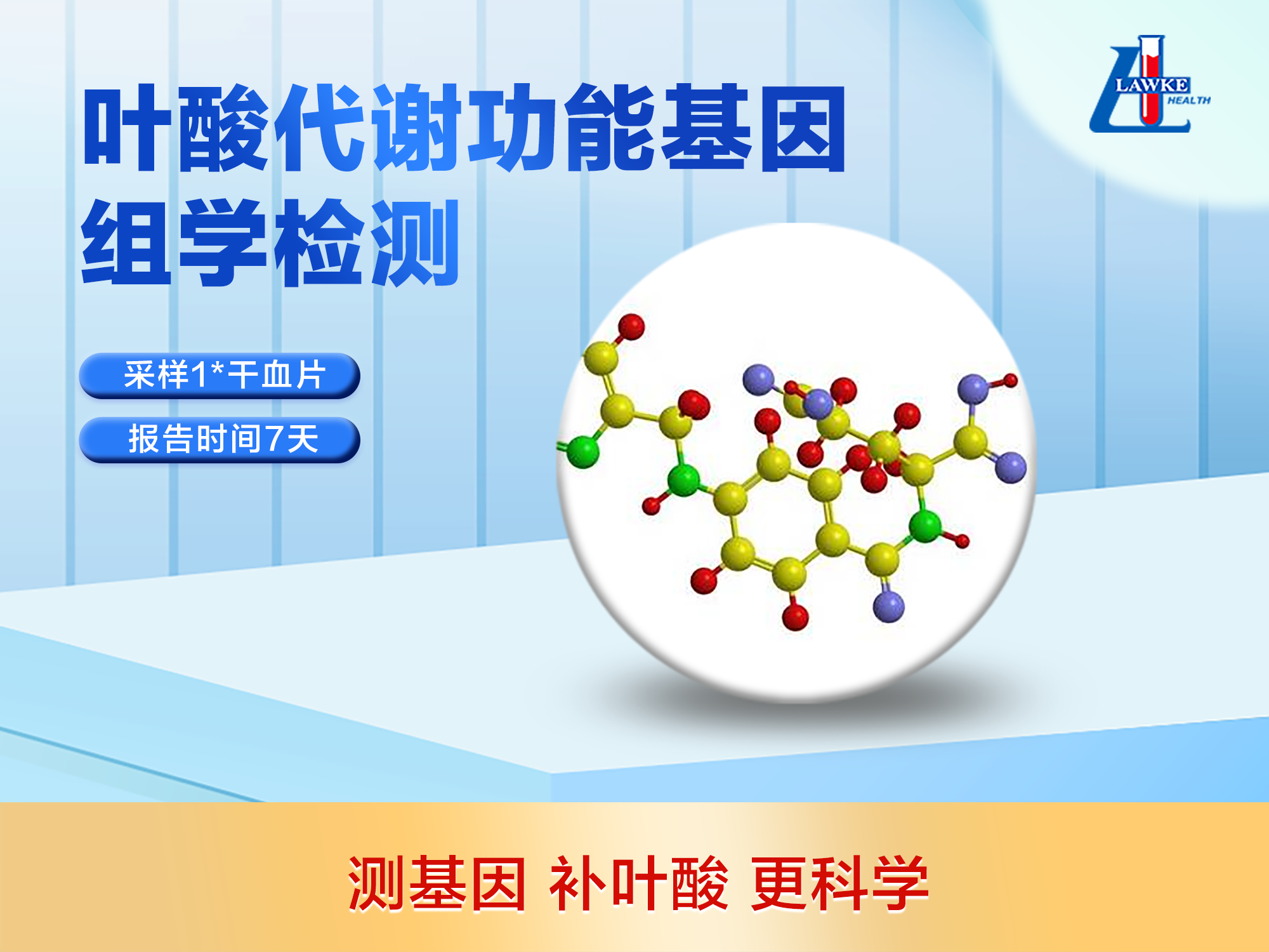 叶酸代谢功能基因组学检测