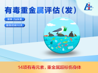有毒重金属评估-发